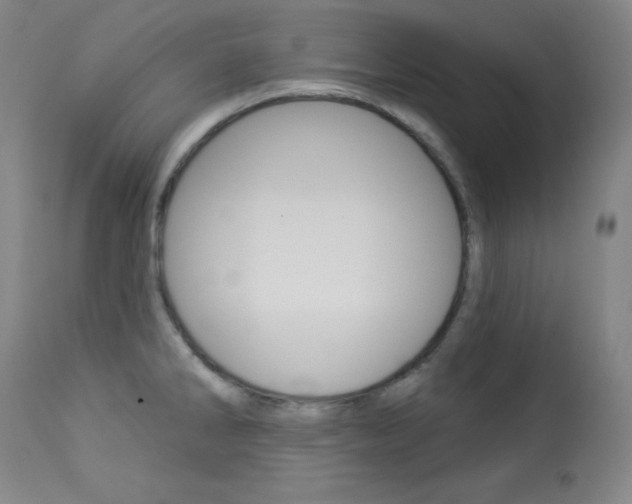 X0000114081286200910050951