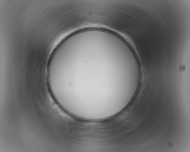 X0000114081287200910050951
