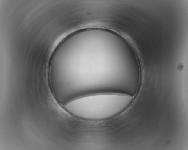 X0000114081288200910050951