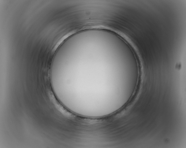 X0000114081289200910050951