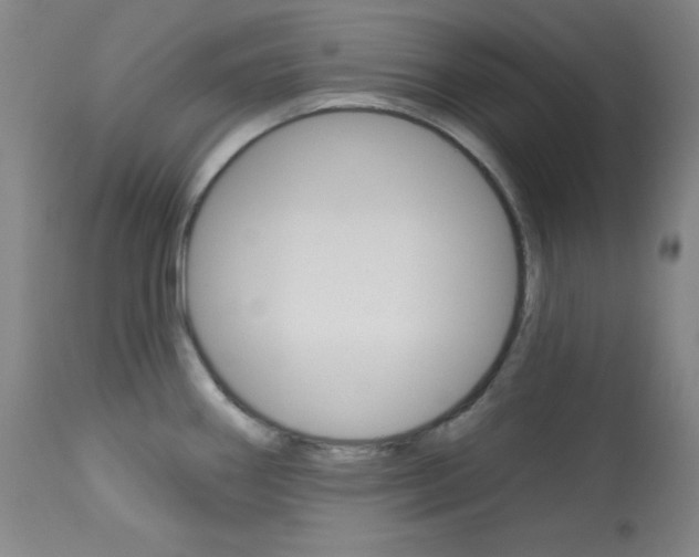 X0000114081290200910050951