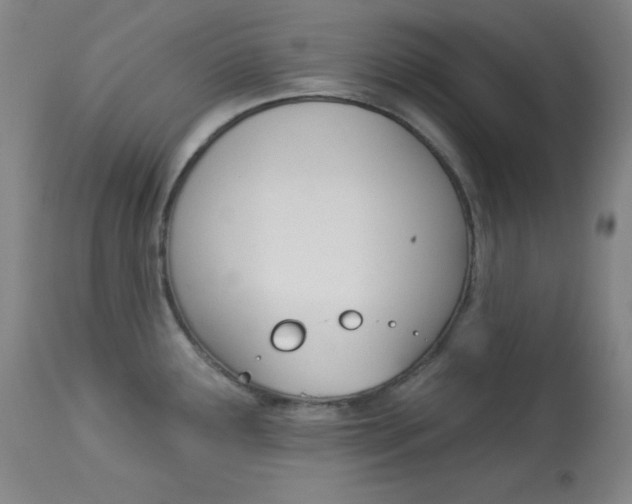 X0000114081291200910050951
