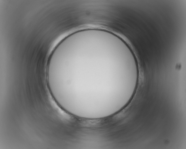 X0000114081294200910050951