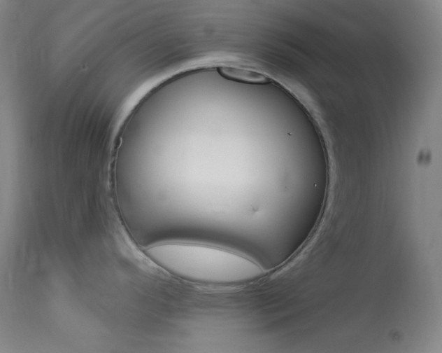 X0000114081296200910050951
