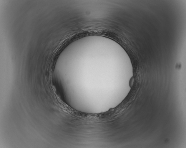 X0000114081297200910050950