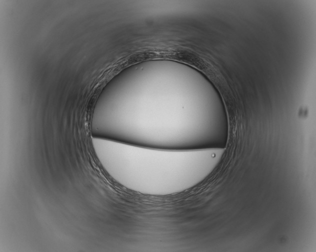 X0000114081298200910050950