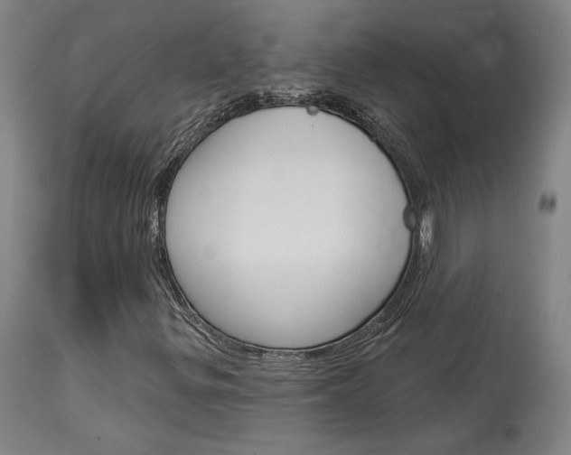 X0000114081299200910050950