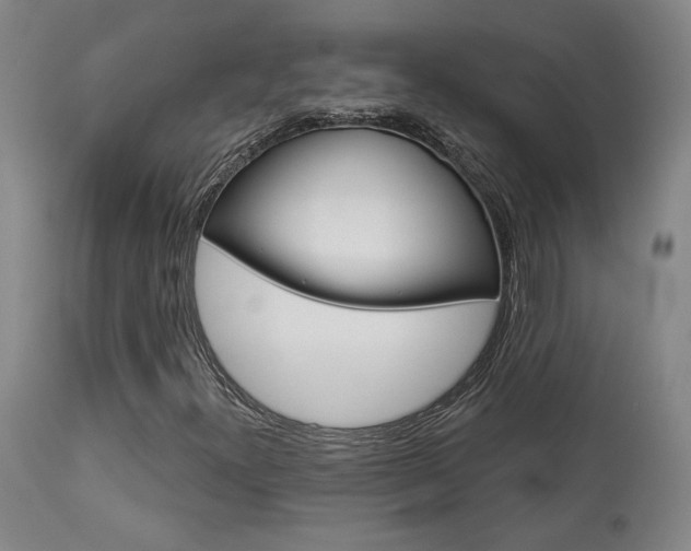 X0000114081300200910050950