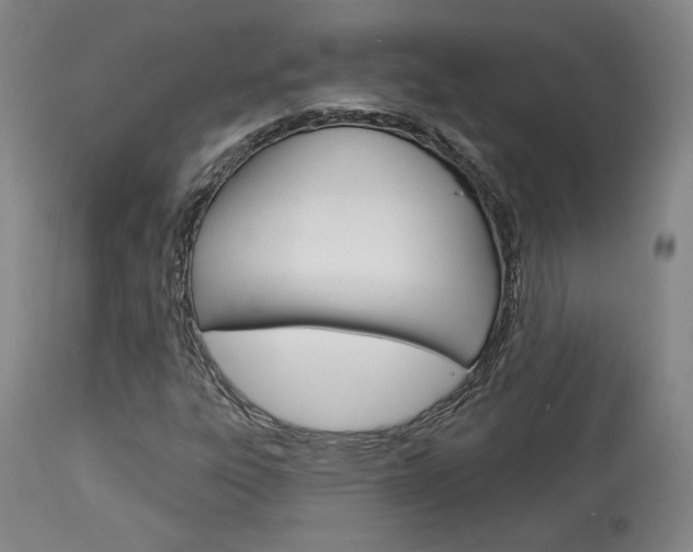 X0000114081303200910050950