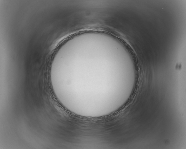 X0000114081304200910050950