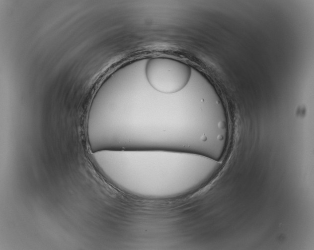 X0000114081305200910050950