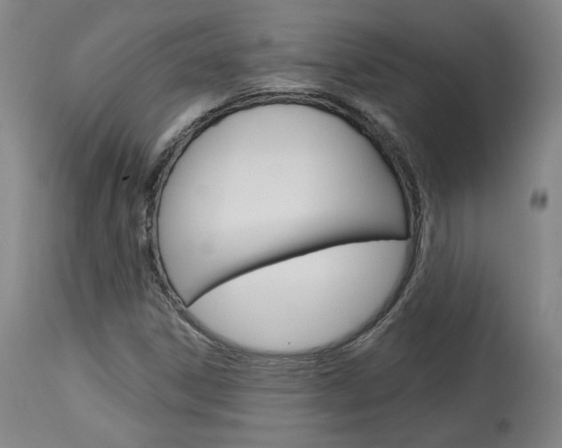 X0000114081306200910050950