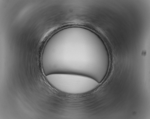 X0000114081307200910050950