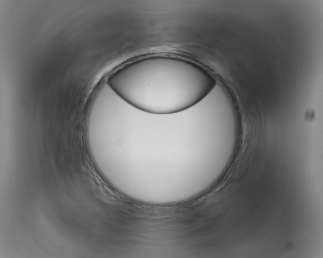 X0000114081308200910050950