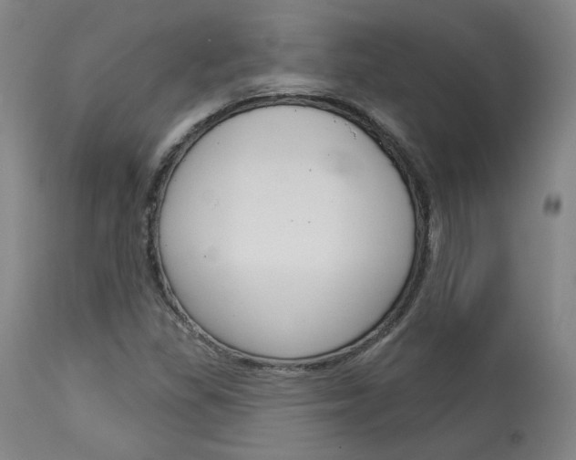X0000114081309200910050950