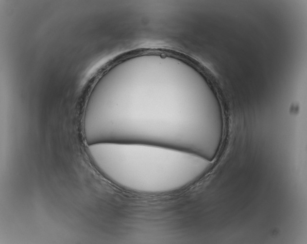 X0000114081311200910050950
