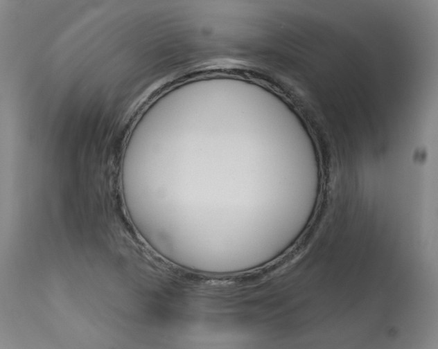 X0000114081313200910050950