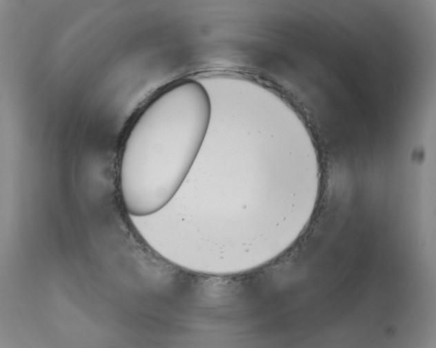 X0000114081314200910050950