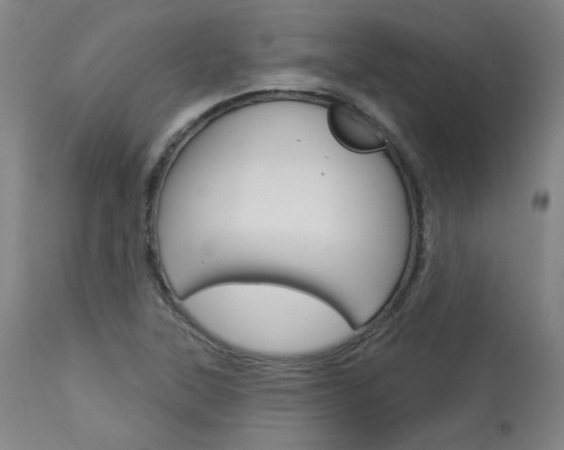 X0000114081315200910050950