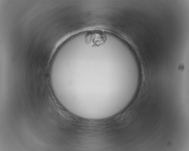 X0000114081316200910050950