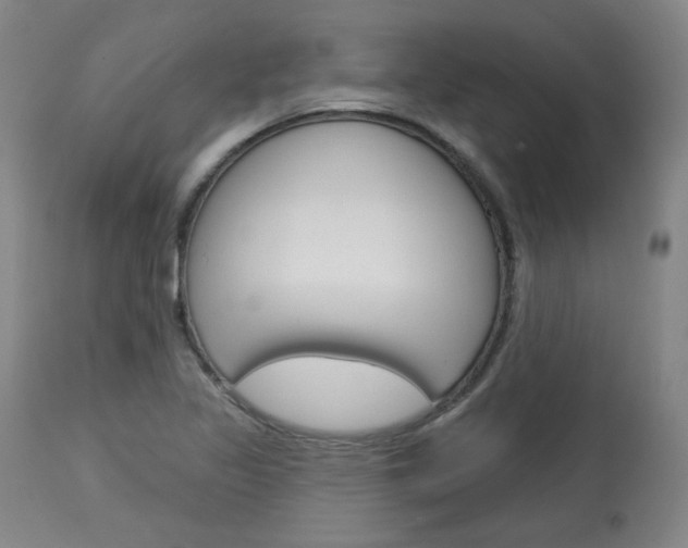 X0000114081317200910050950