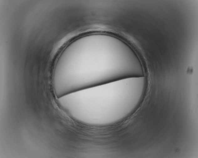 X0000114081318200910050950