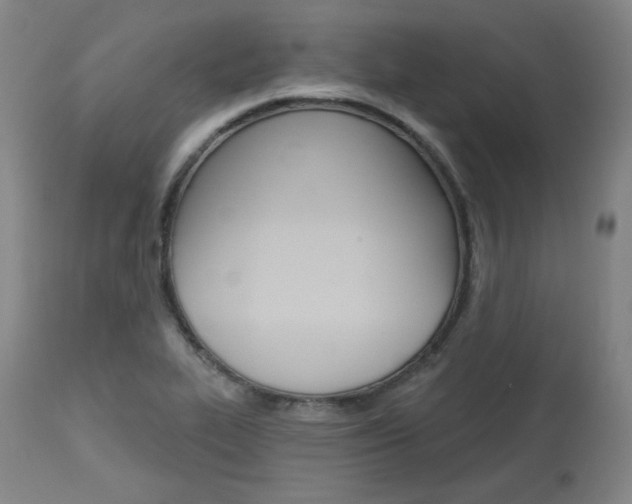 X0000114081319200910050950