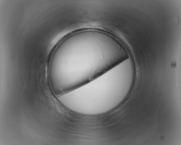 X0000114081320200910050950