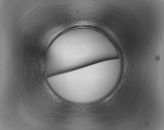 X0000114081321200910050950