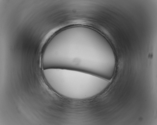 X0000114081323200910050950