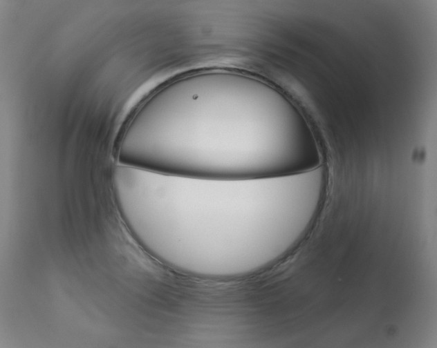 X0000114081324200910050950
