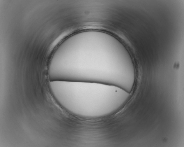 X0000114081325200910050950
