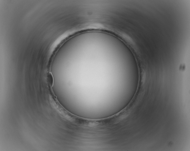 X0000114081326200910050950