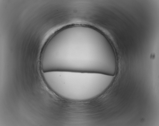 X0000114081327200910050950