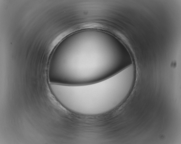 X0000114081330200910050951