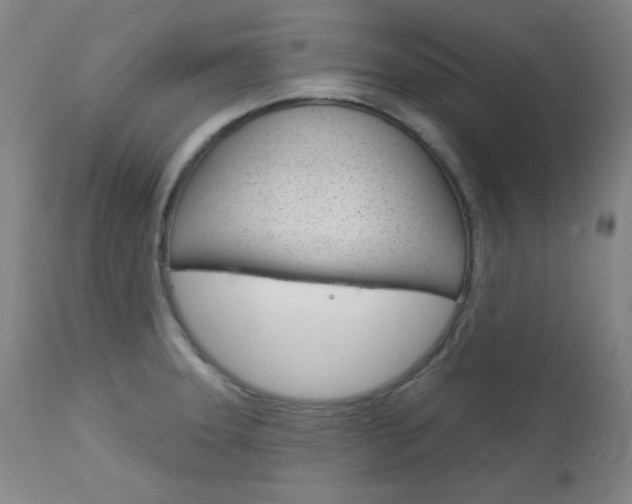 X0000114081331200910050951