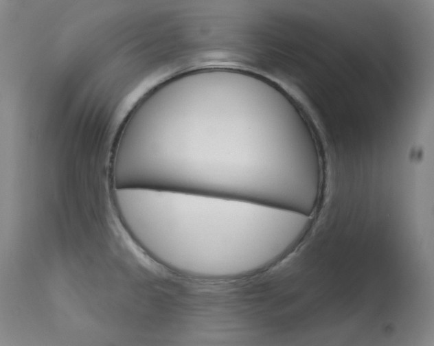 X0000114081333200910050951
