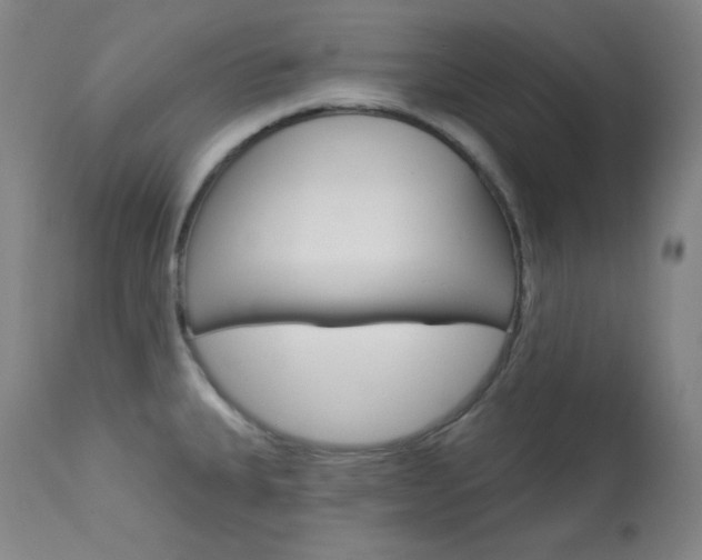 X0000114081335200910050951