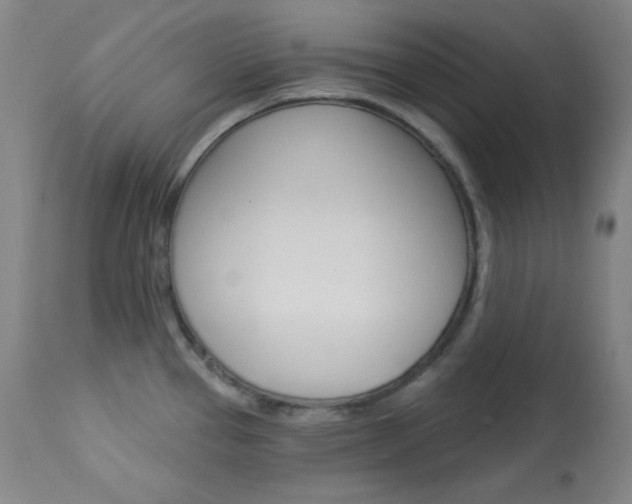 X0000114081337200910050951