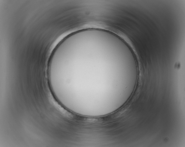 X0000114081339200910050951