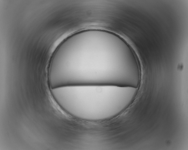 X0000114081341200910050951