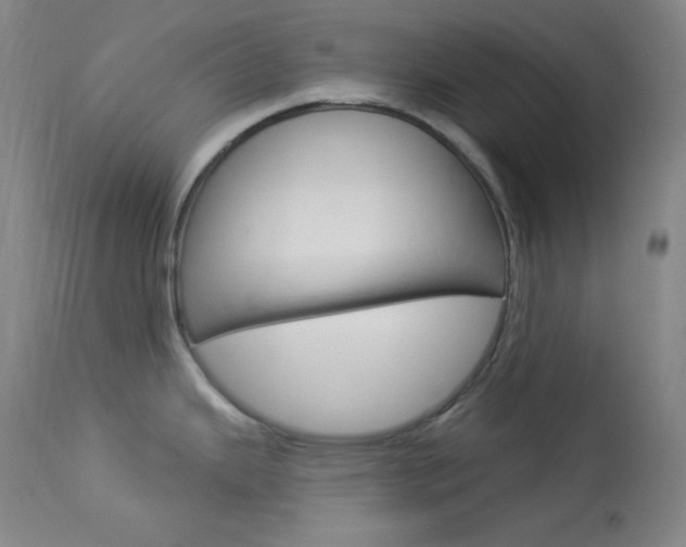 X0000114081343200910050951