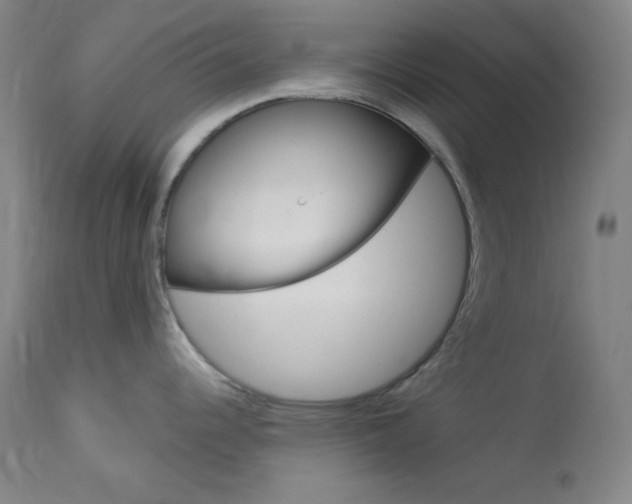 X0000114081344200910050951