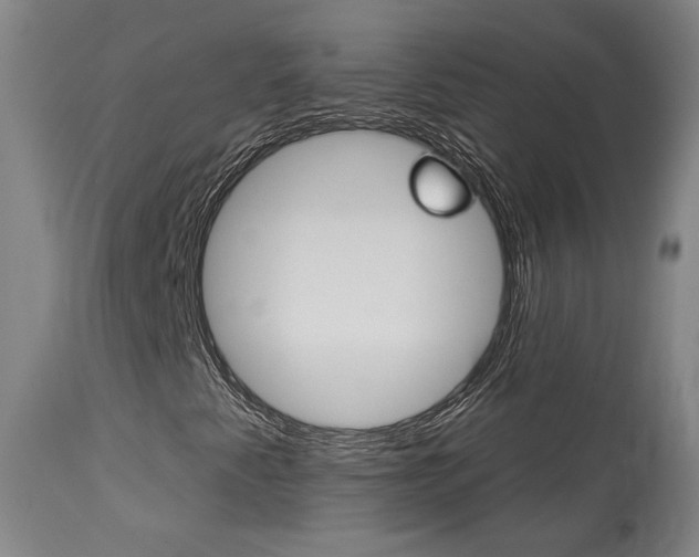 X0000114081345200910050950