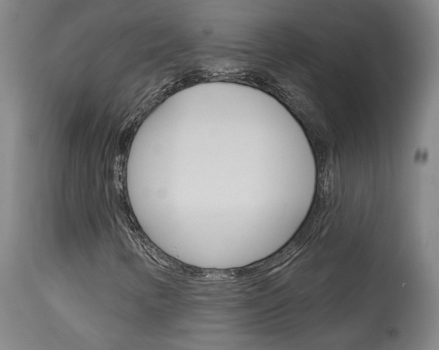 X0000114081346200910050950