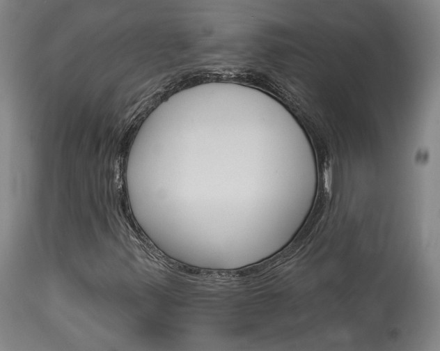 X0000114081347200910050950