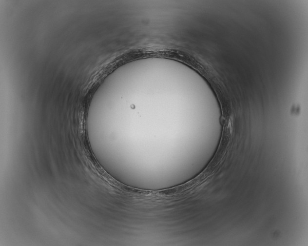 X0000114081348200910050950