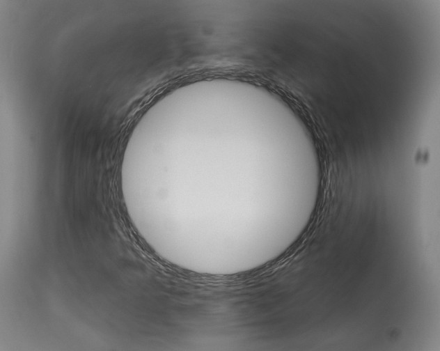 X0000114081349200910050950