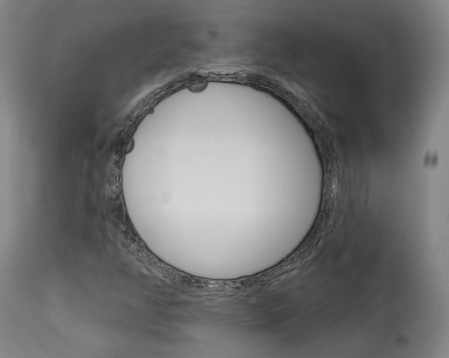 X0000114081350200910050950