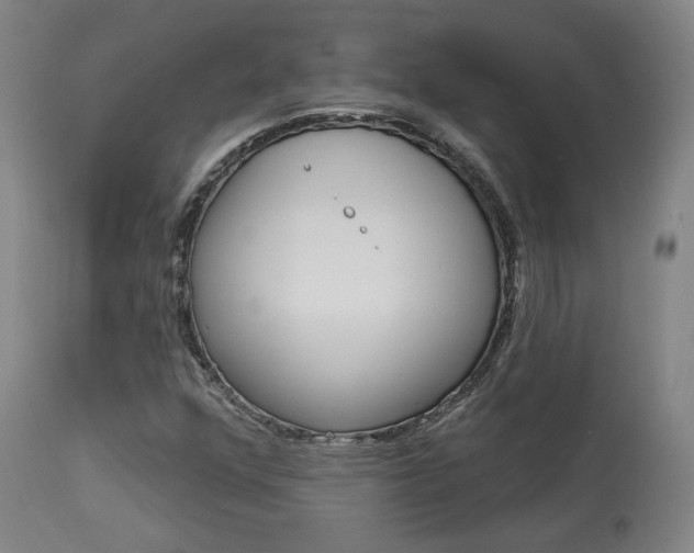 X0000114081352200910050950